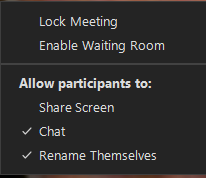 Zoom share settings